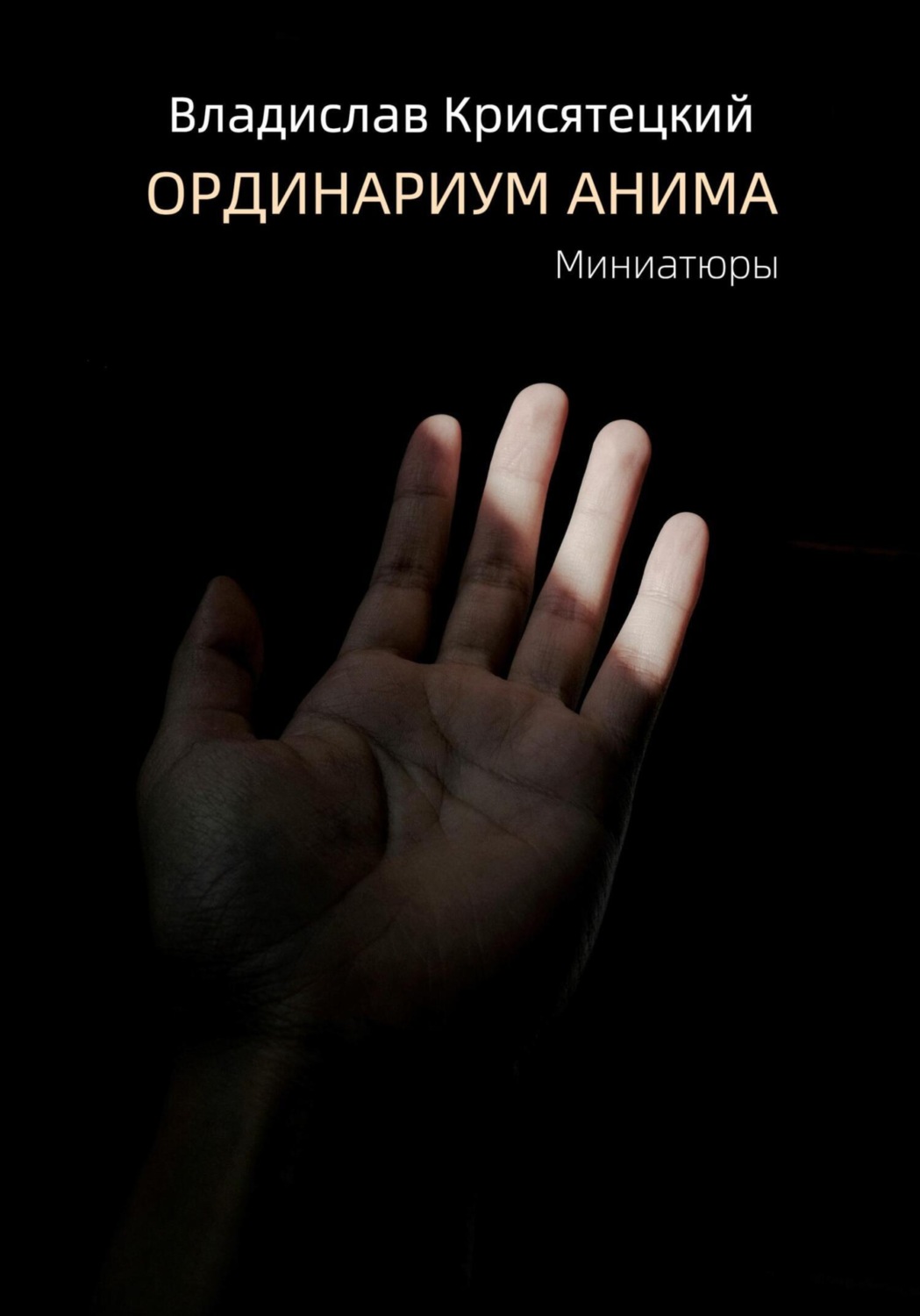 Обложка книги «Ординариум Анима»