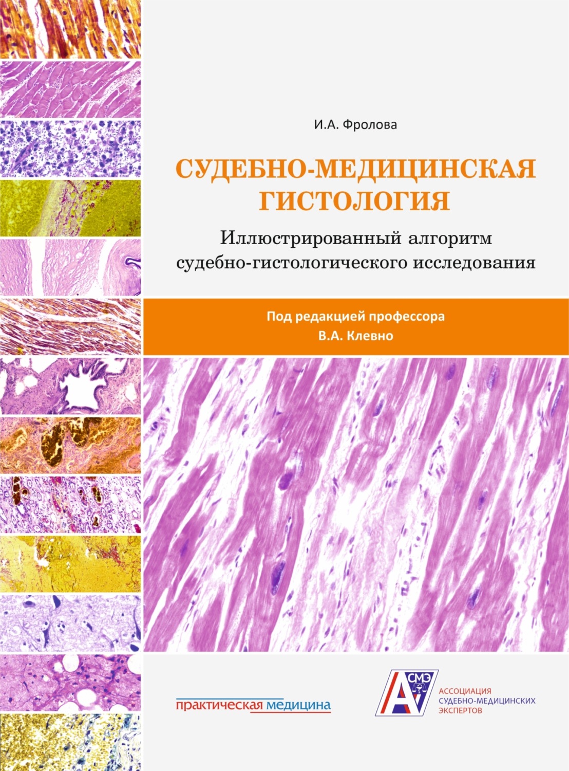 Обложка книги «Судебно-медицинская гистология: иллюстрированный алгоритм судебно-гистологического исследования»