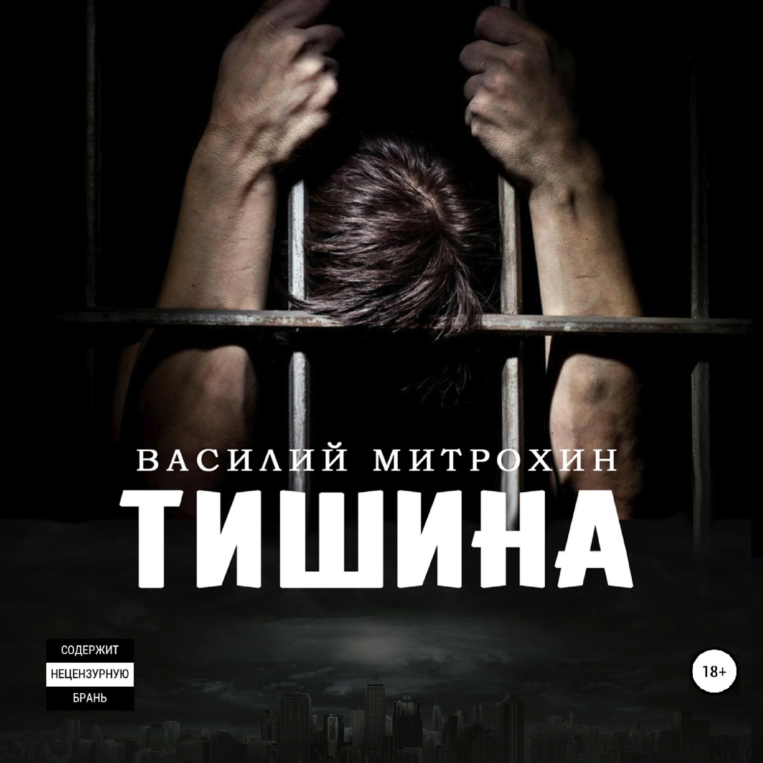 Обложка книги «Тишина»