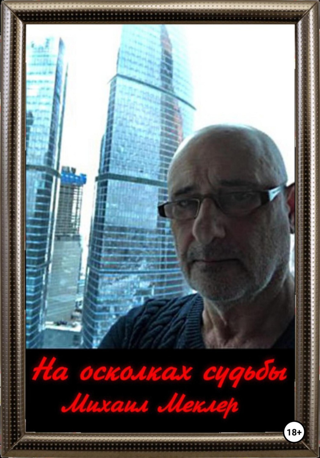Обложка книги «На осколках судьбы»