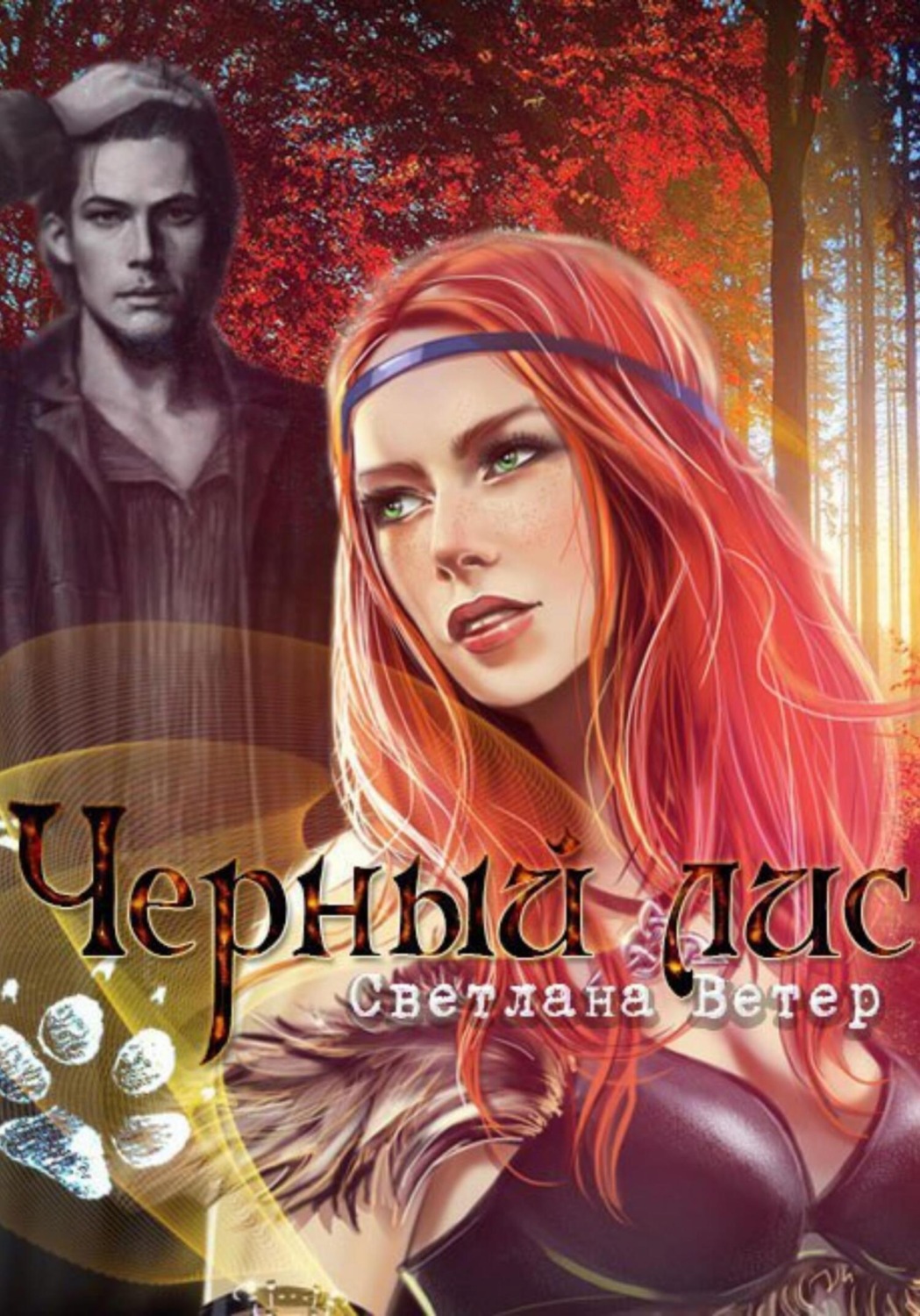 Обложка книги «Черный лис»