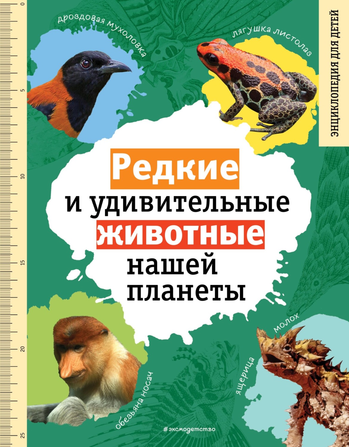 Обложка книги «Редкие и удивительные животные нашей планеты. Энциклопедия для детей»