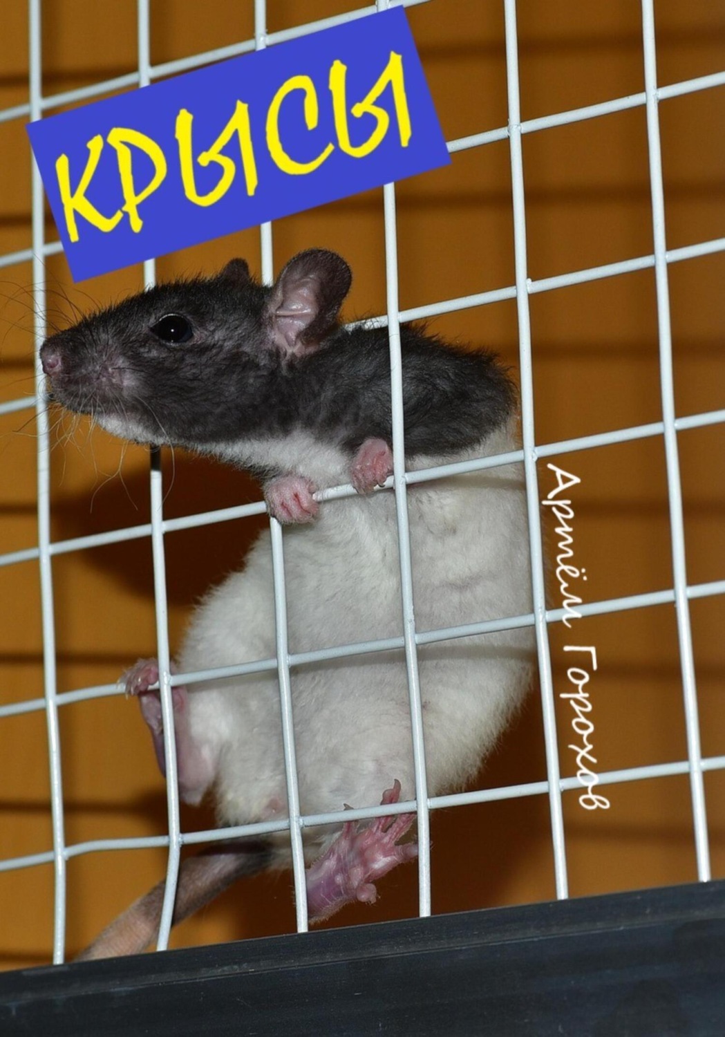 Обложка книги «Крысы»
