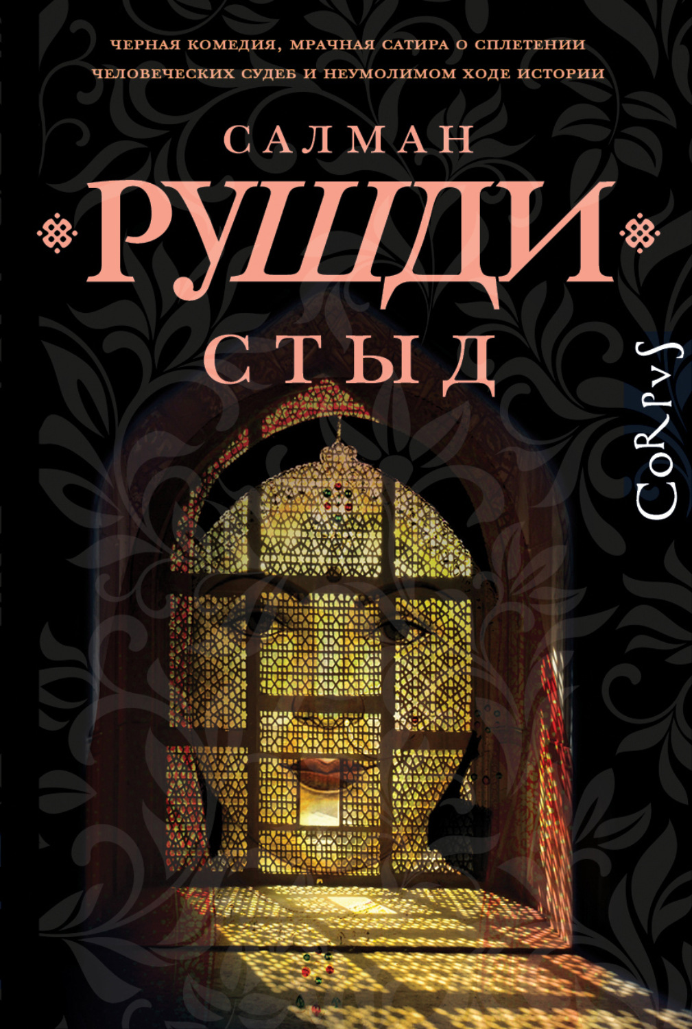 Обложка книги «Стыд»