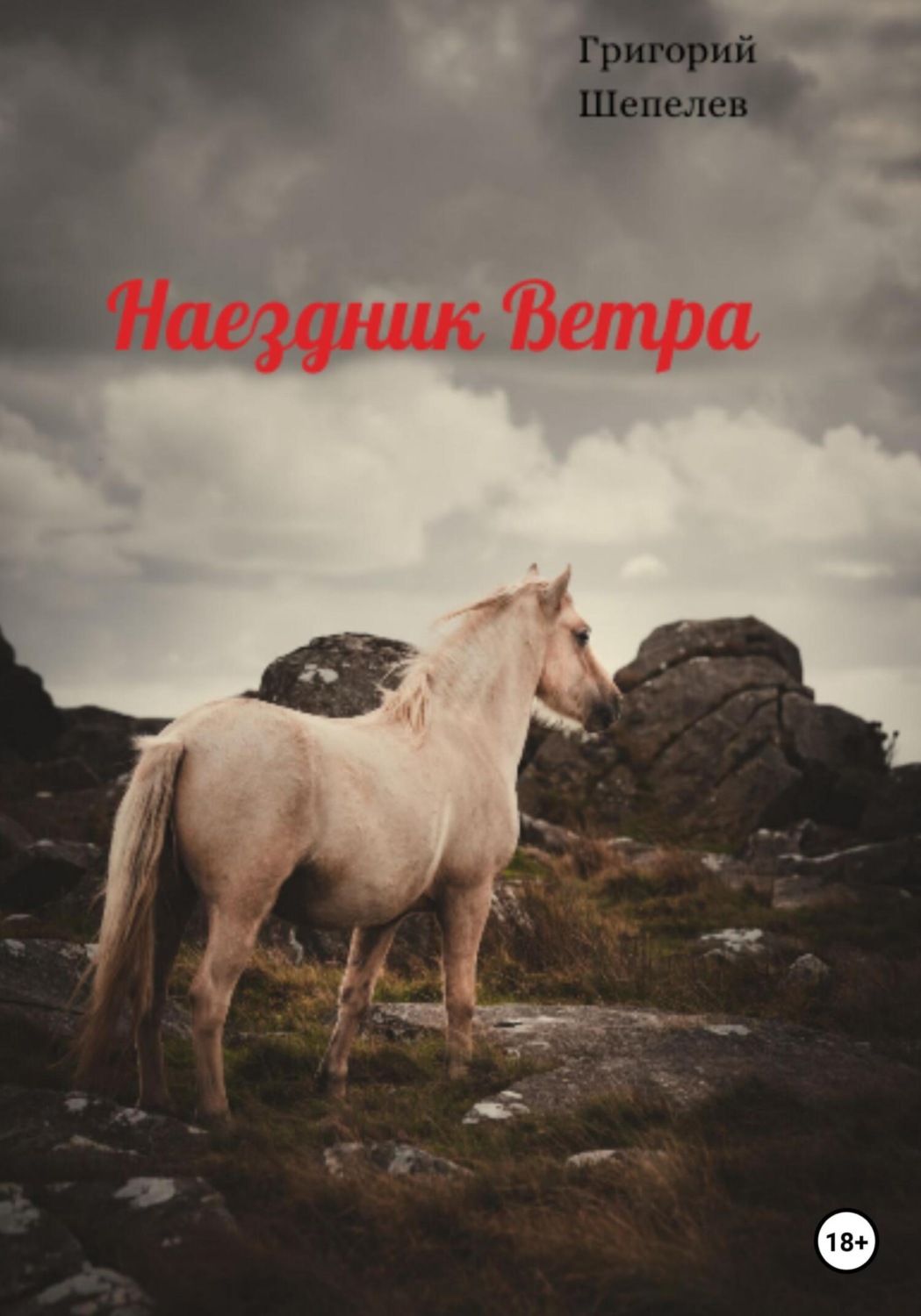 Обложка книги «Наездник Ветра»