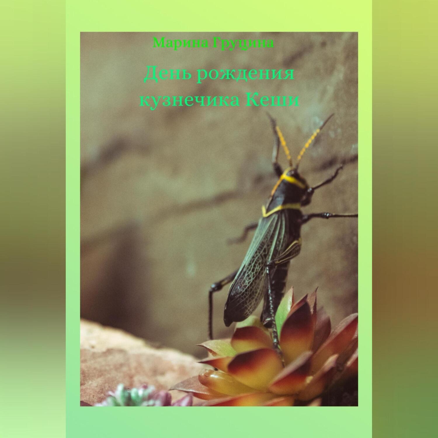 Обложка книги «День рождения кузнечика Кеши»