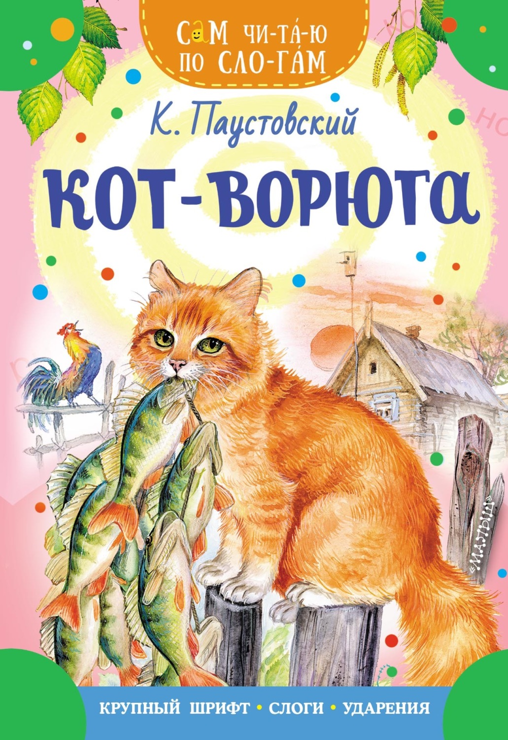 Обложка книги «Кот-ворюга»