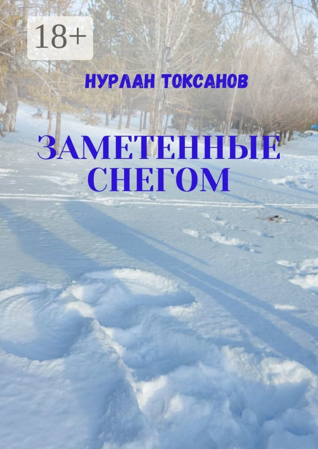 Обложка книги «Заметенные снегом»