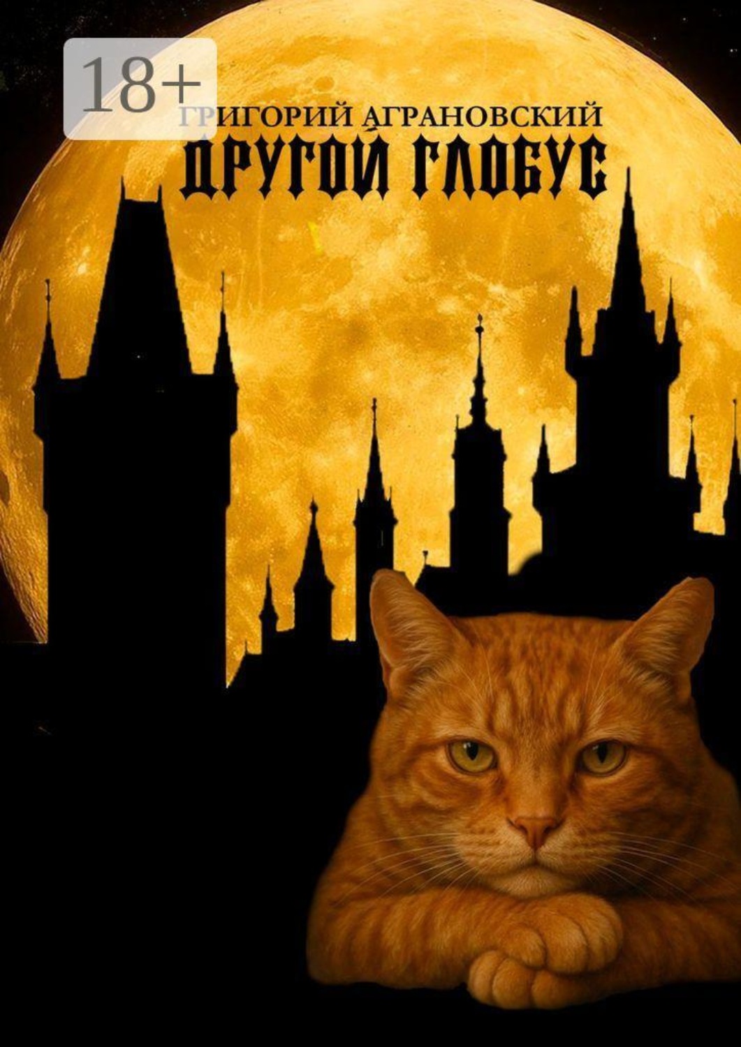 Обложка книги «Другой глобус»