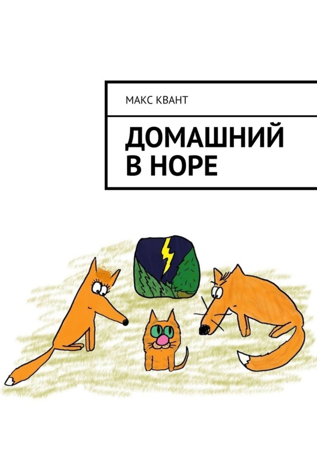Обложка книги «Домашний в норе»