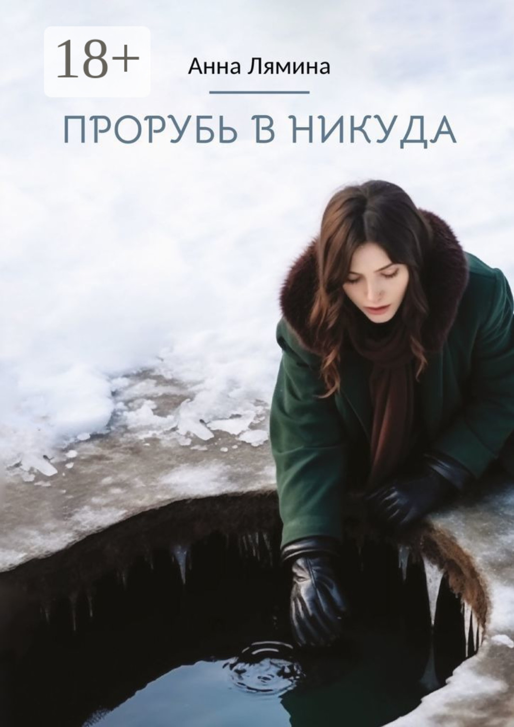 Обложка книги «Прорубь в никуда»