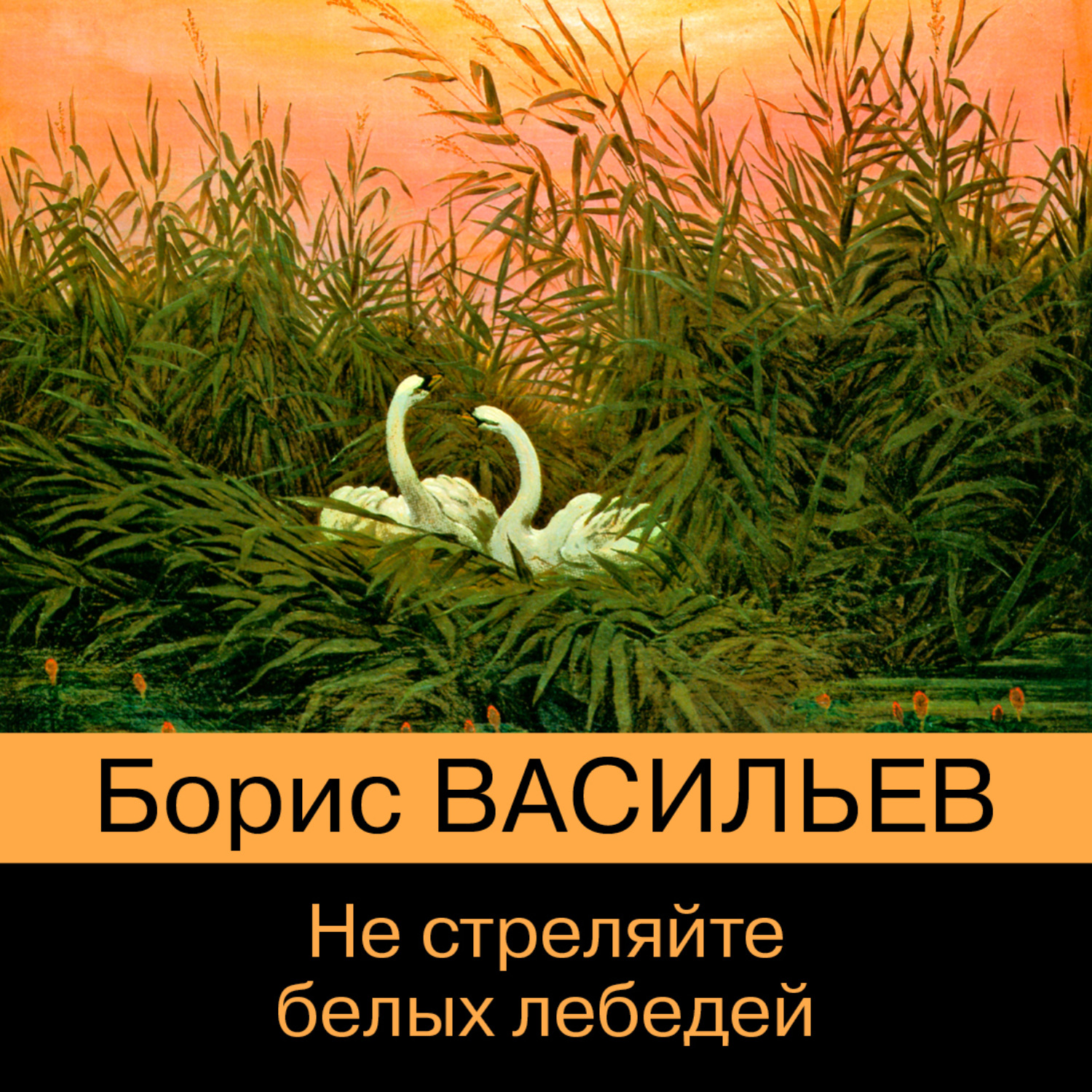 Обложка книги «Не стреляйте белых лебедей»