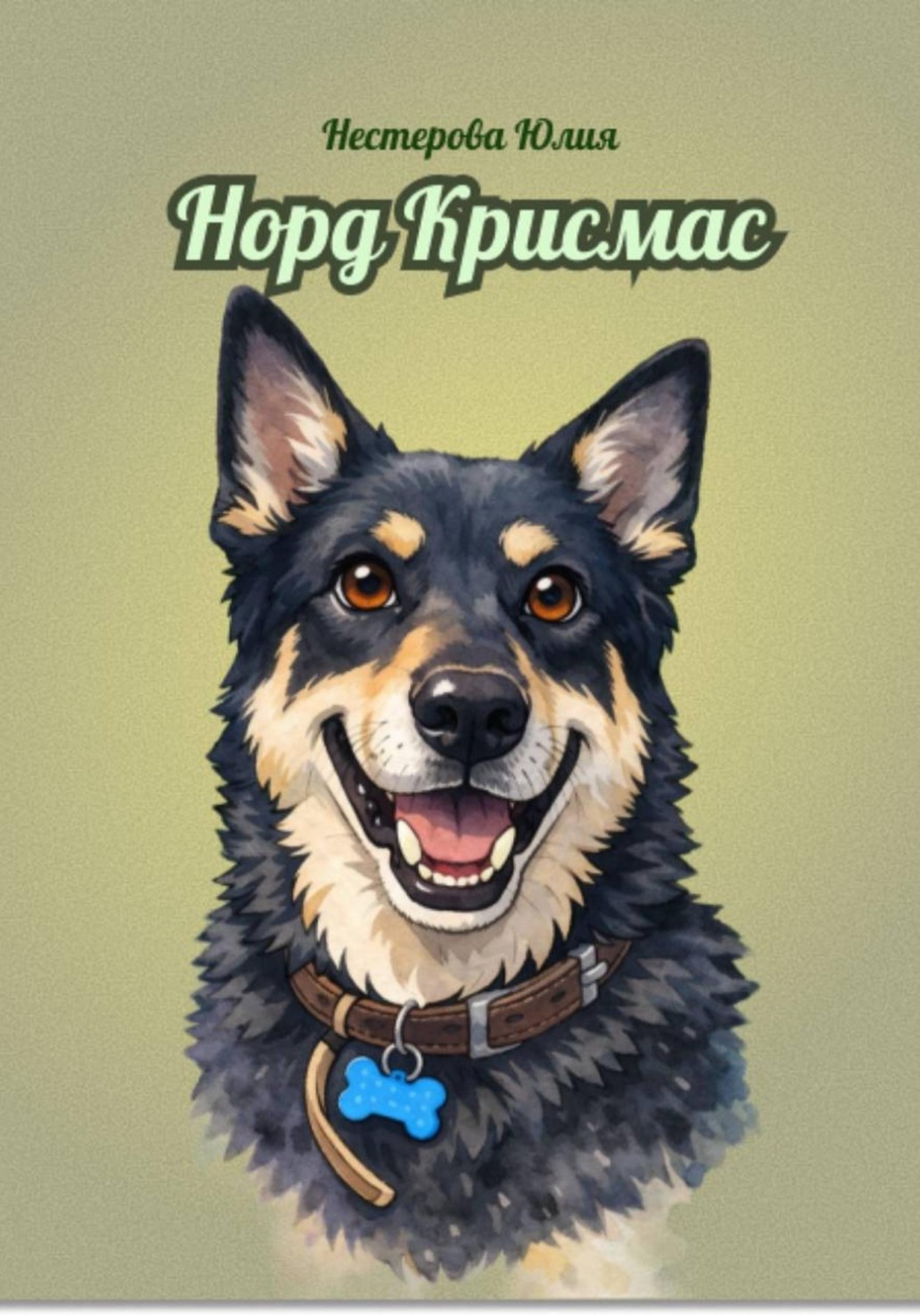 Обложка книги «Норд Крисмас»