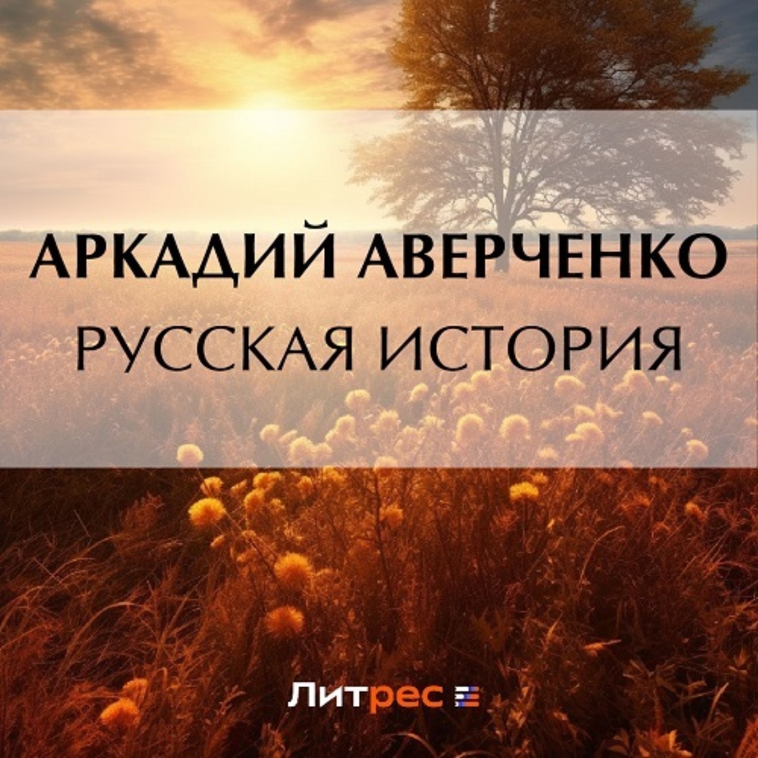 Обложка книги «Русская история»