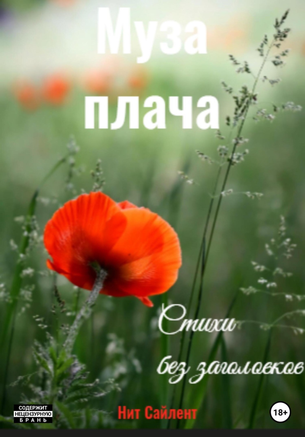 Обложка книги «Муза плача»