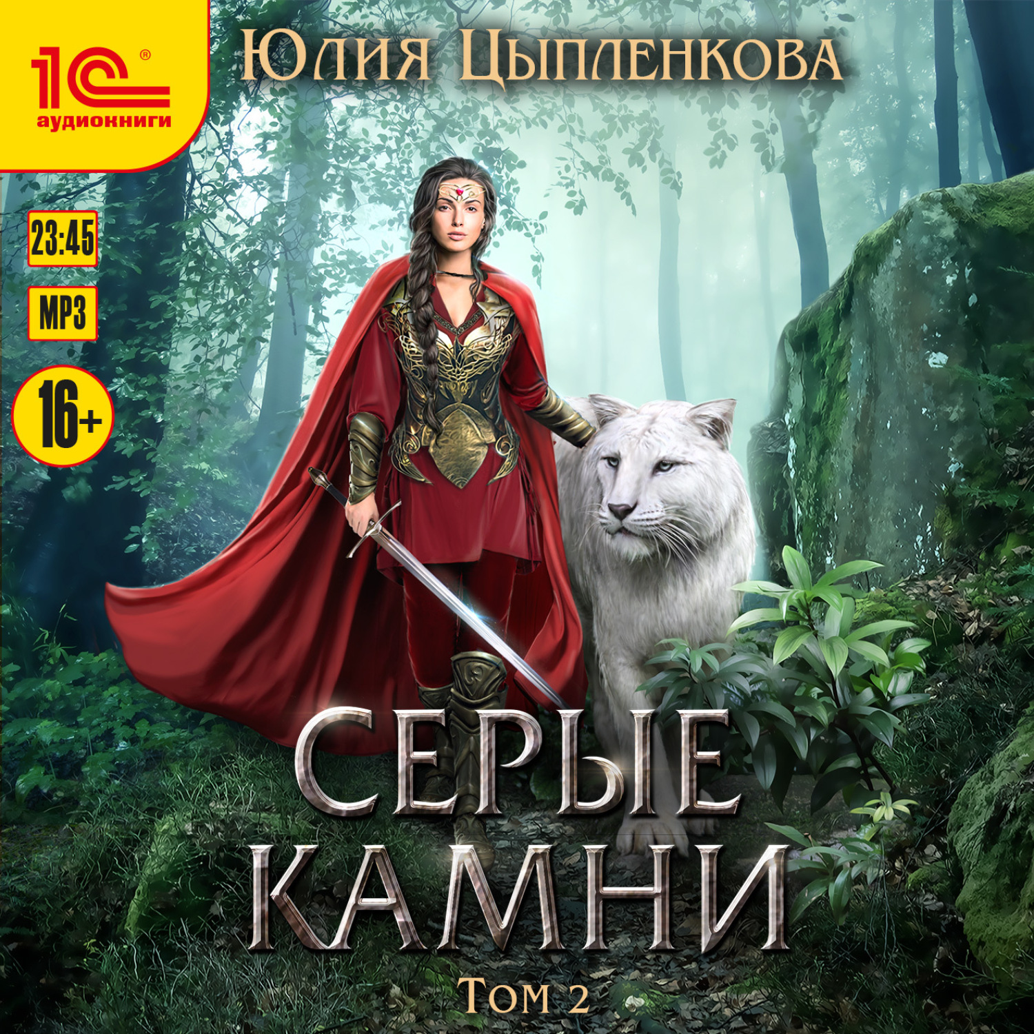 Обложка книги «Серые камни. Том 2»