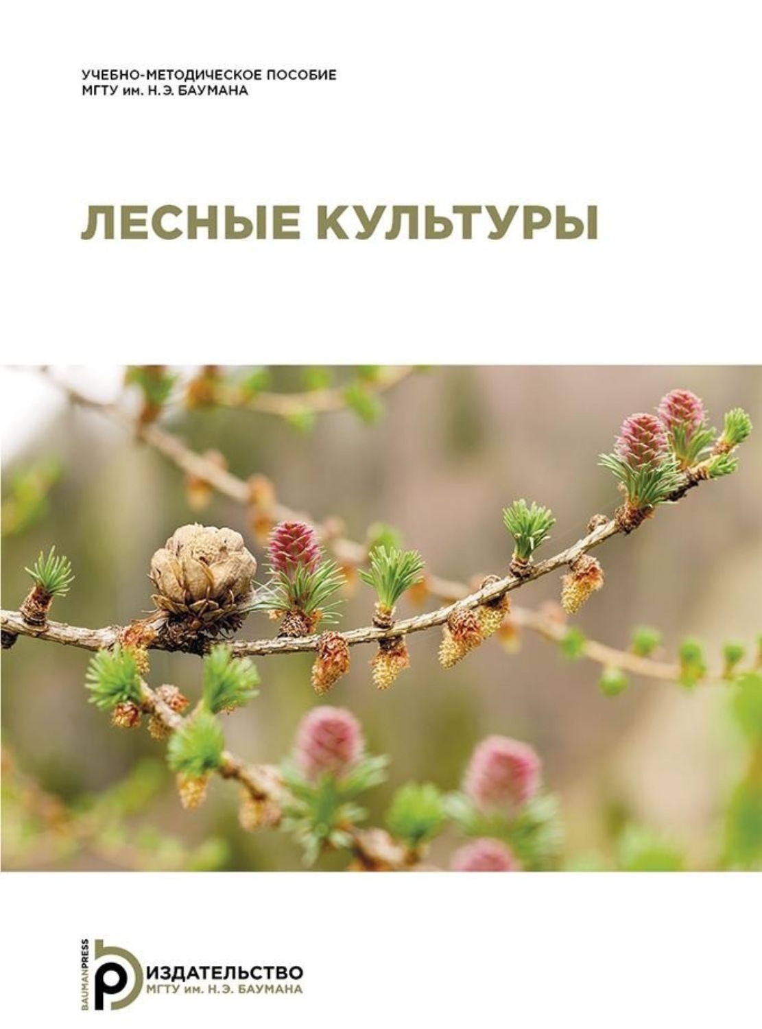 Обложка книги «Лесные культуры»