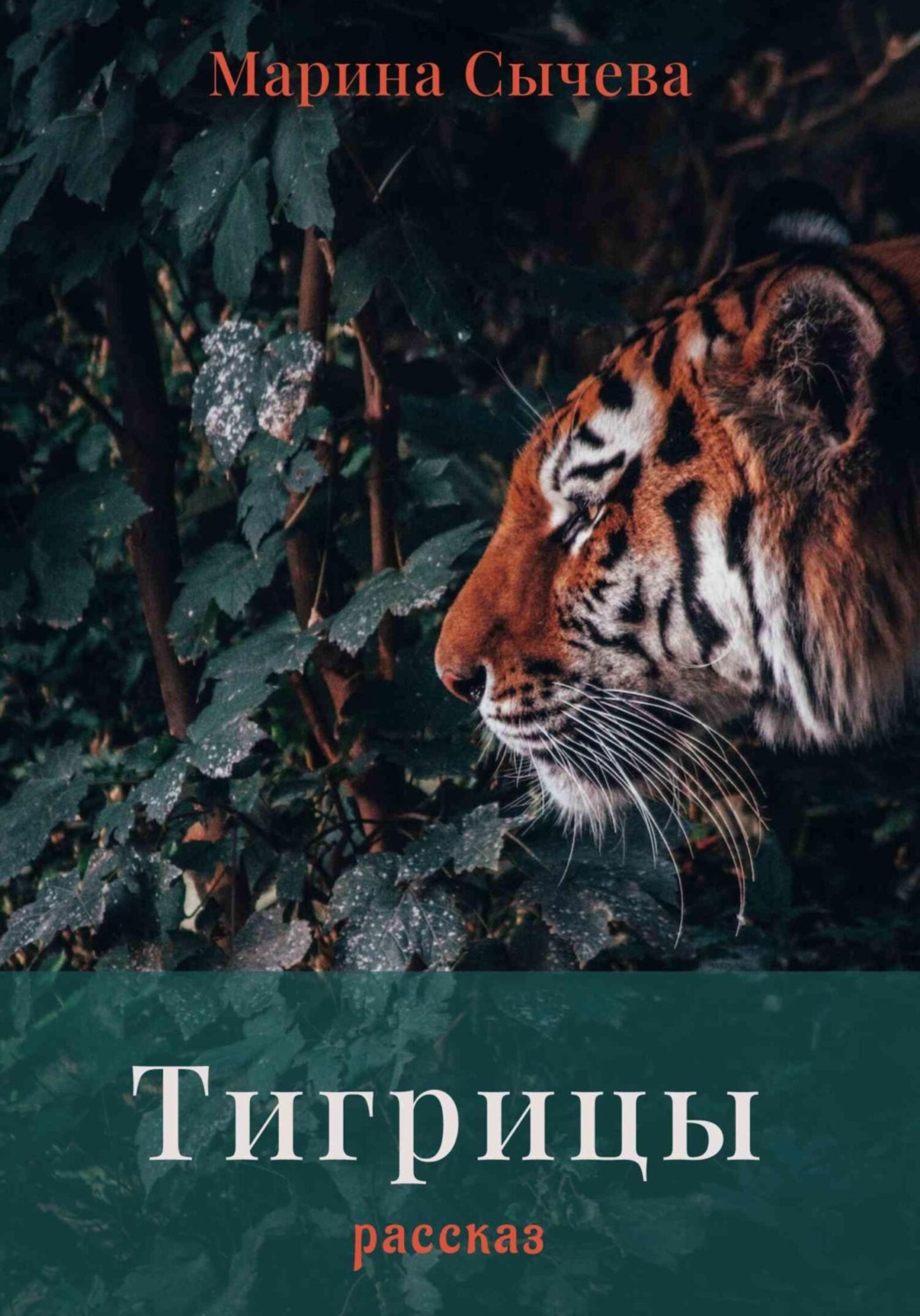 Обложка книги «Тигрицы»
