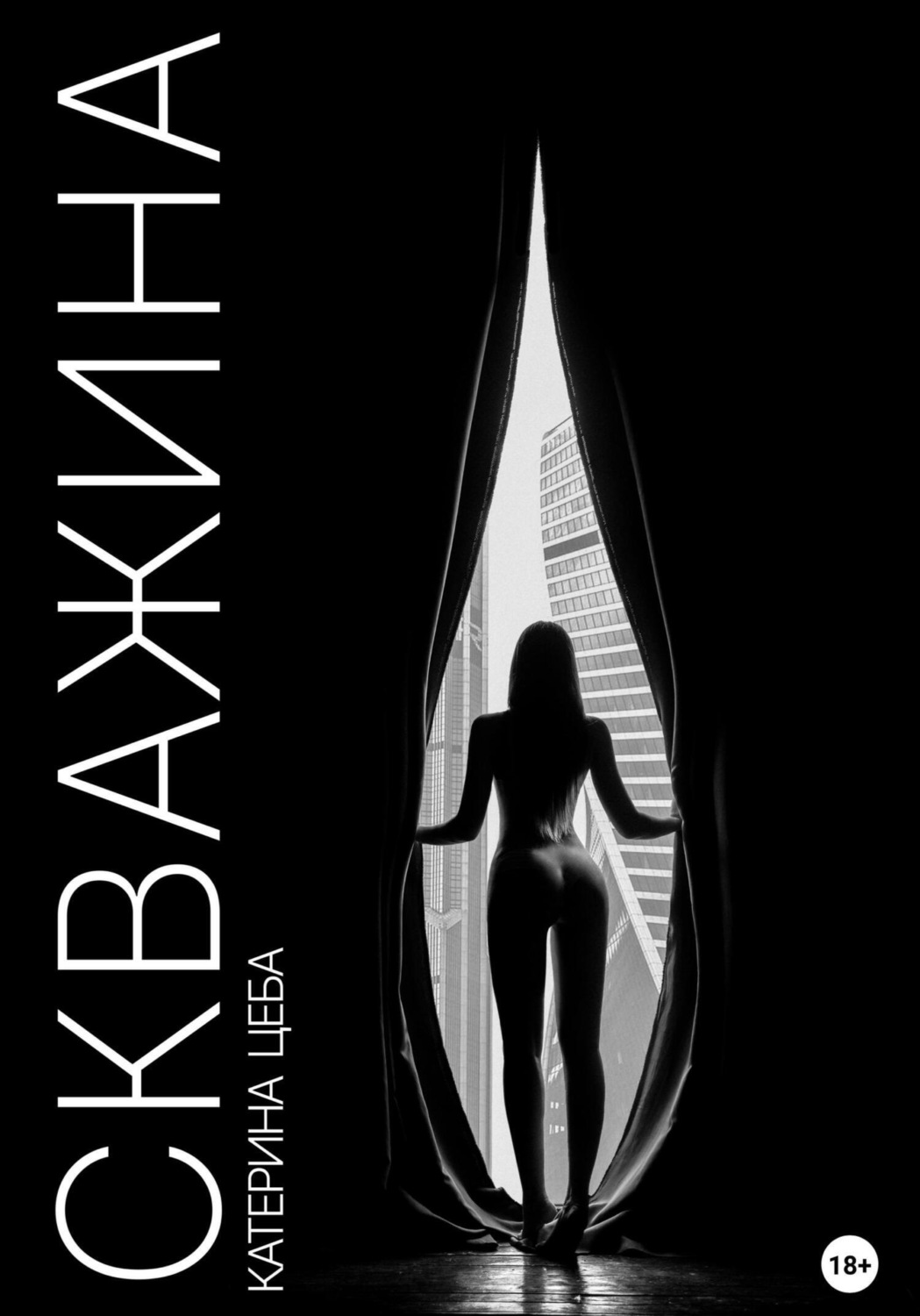 Обложка книги «Скважина»