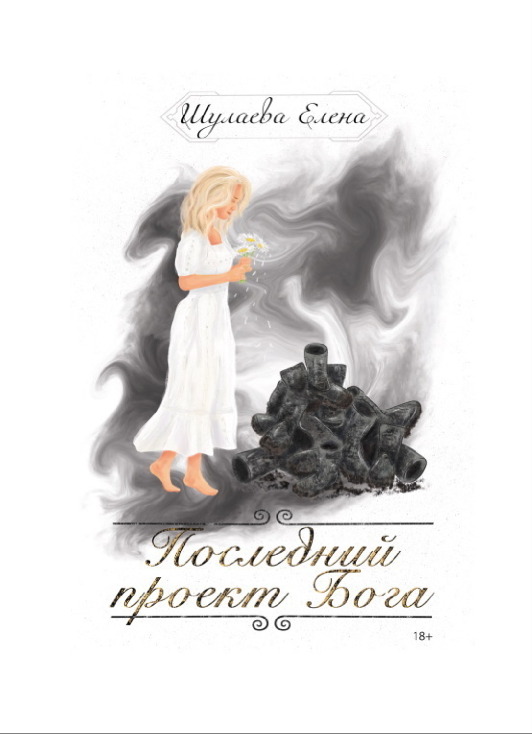 Обложка книги «Последний проект Бога»