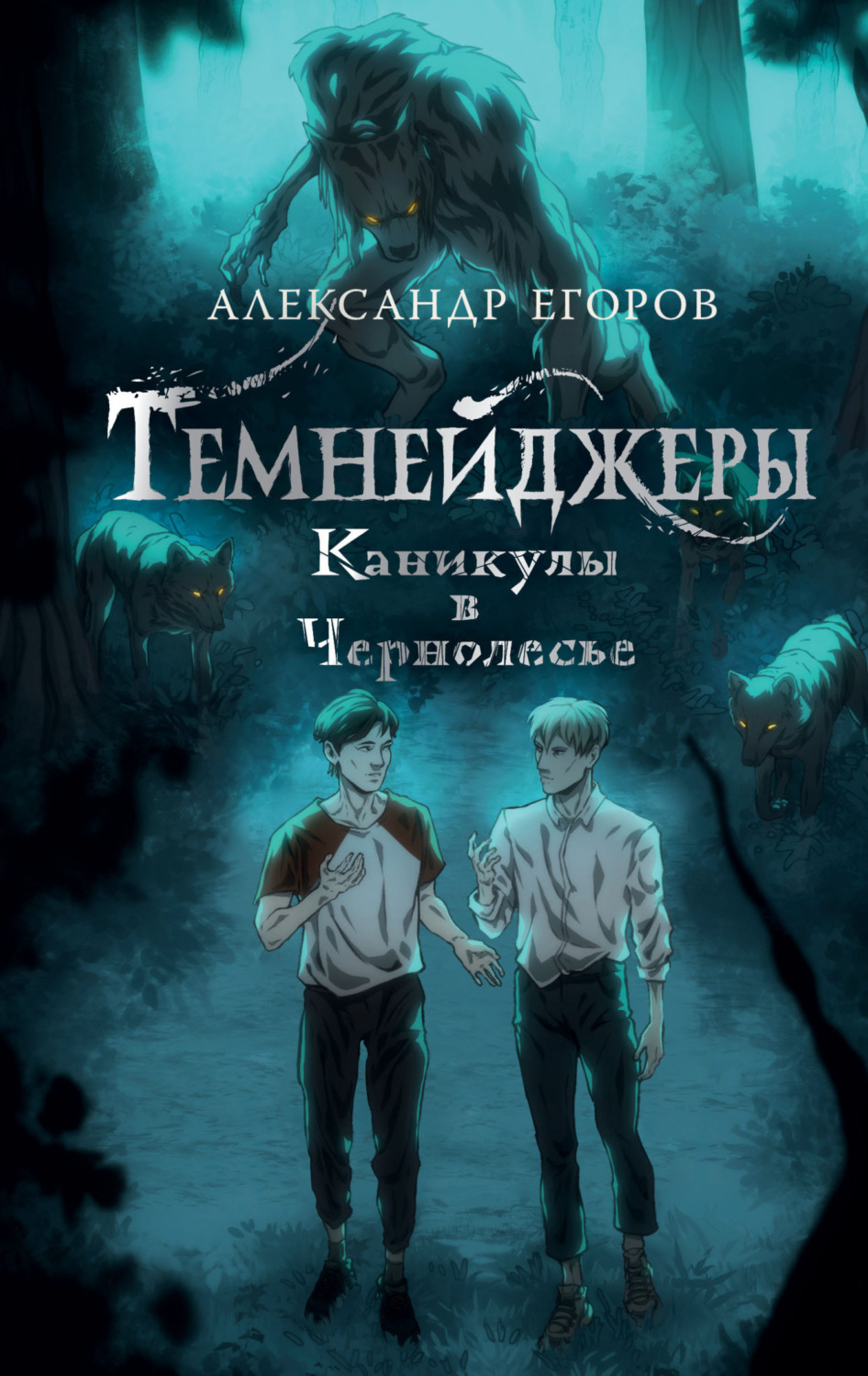 Обложка книги «Темнейджеры. Каникулы в Чернолесье»