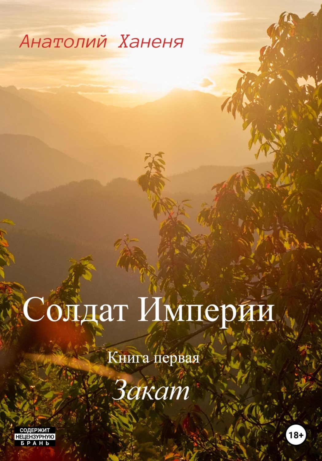 Обложка книги «Солдат Империи. Книга первая. Закат»