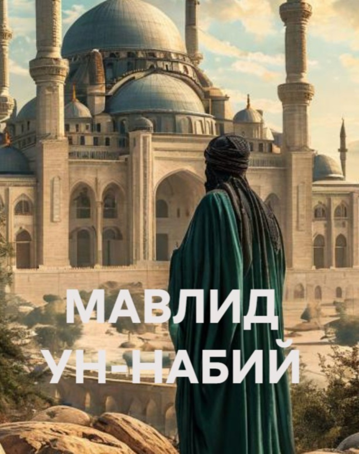 Обложка книги «МАВЛИД УН-НАБИЙ»