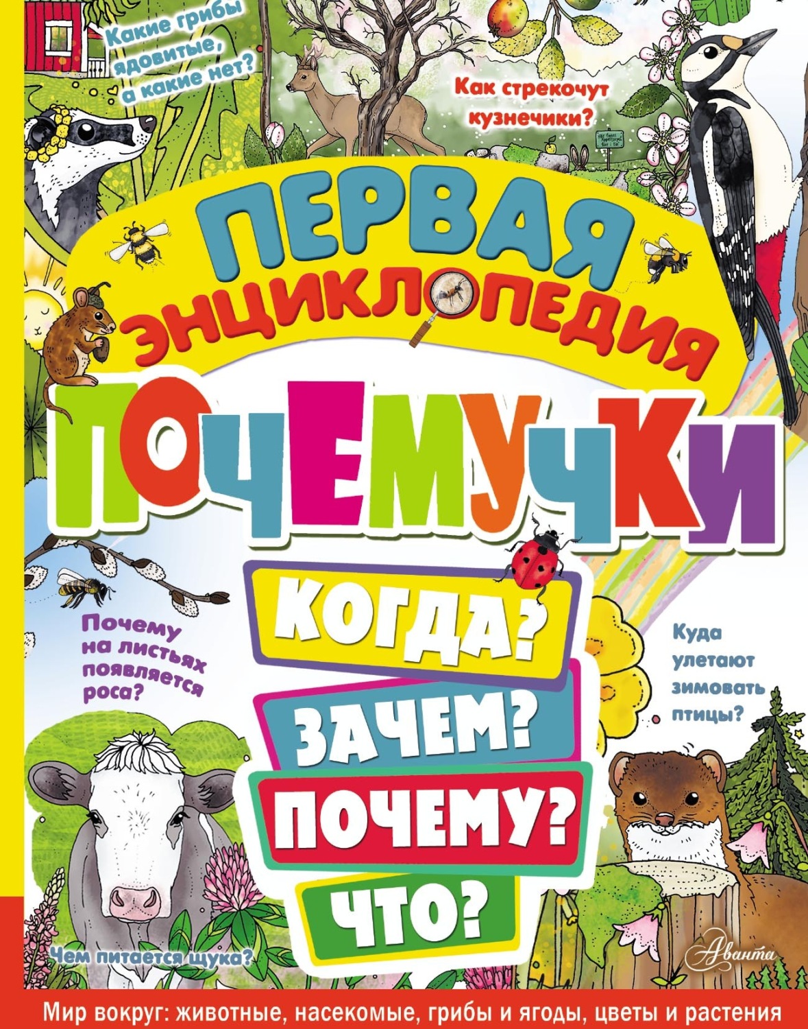Обложка книги «Первая энциклопедия почемучки»