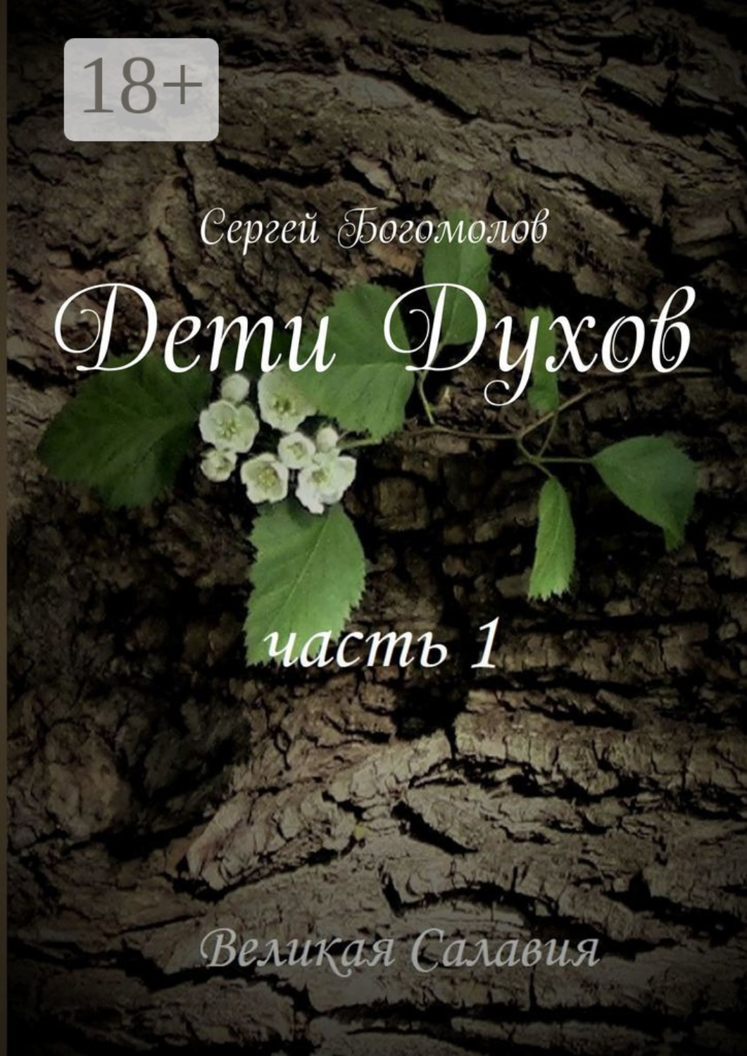 Обложка книги «Дети Духов. Часть 1»