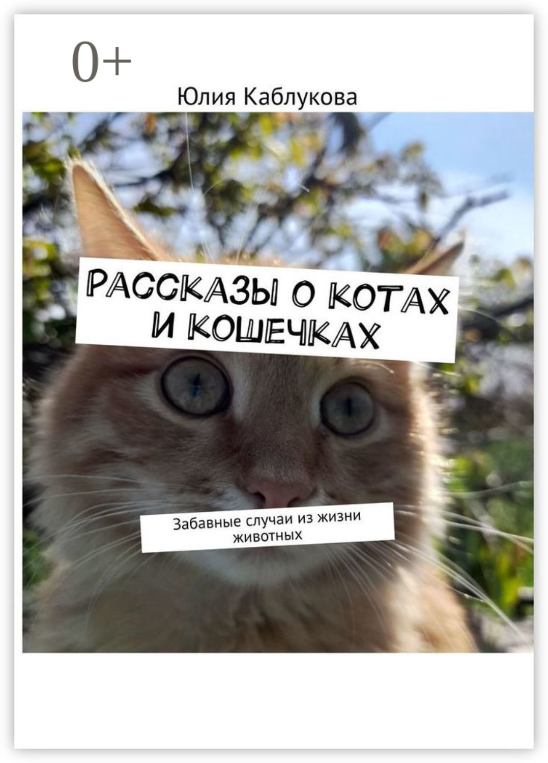 Обложка книги «Рассказы о котах и кошечках. Забавные случаи из жизни животных»