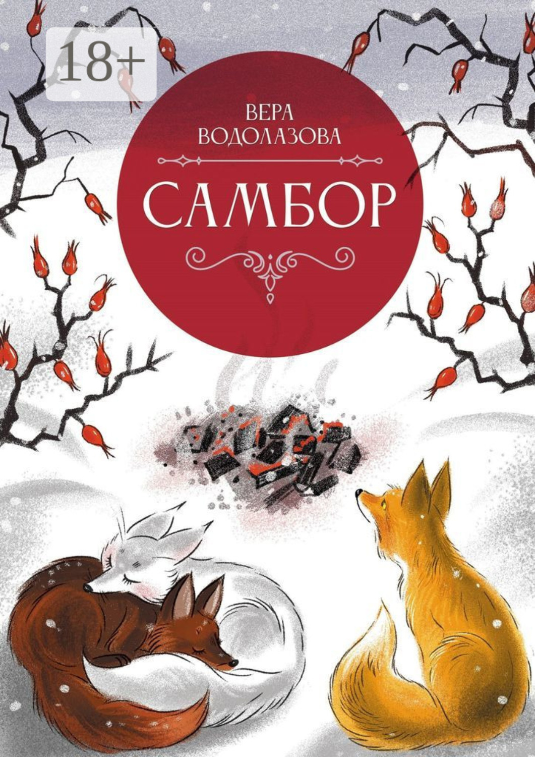 Обложка книги «Самбор»
