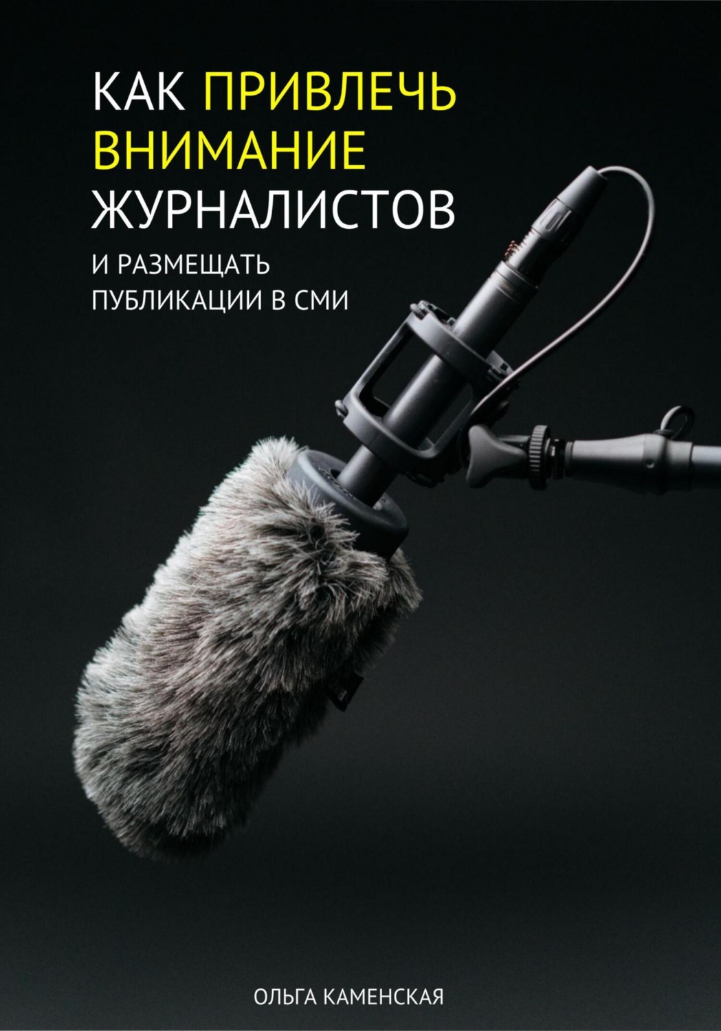 Обложка книги «Как привлечь внимание журналистов и размещать публикации в СМИ»