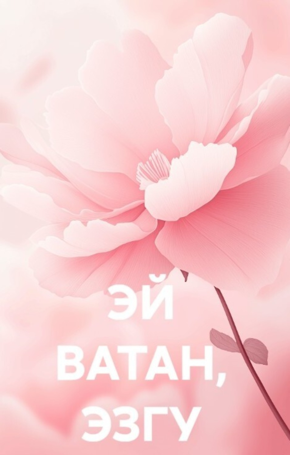 Обложка книги «ЭЙ ВАТАН, ЭЗГУ ВАТАН»