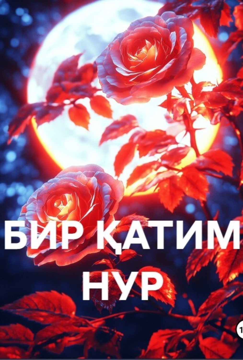 Обложка книги «БИР ҚАТИМ НУР»