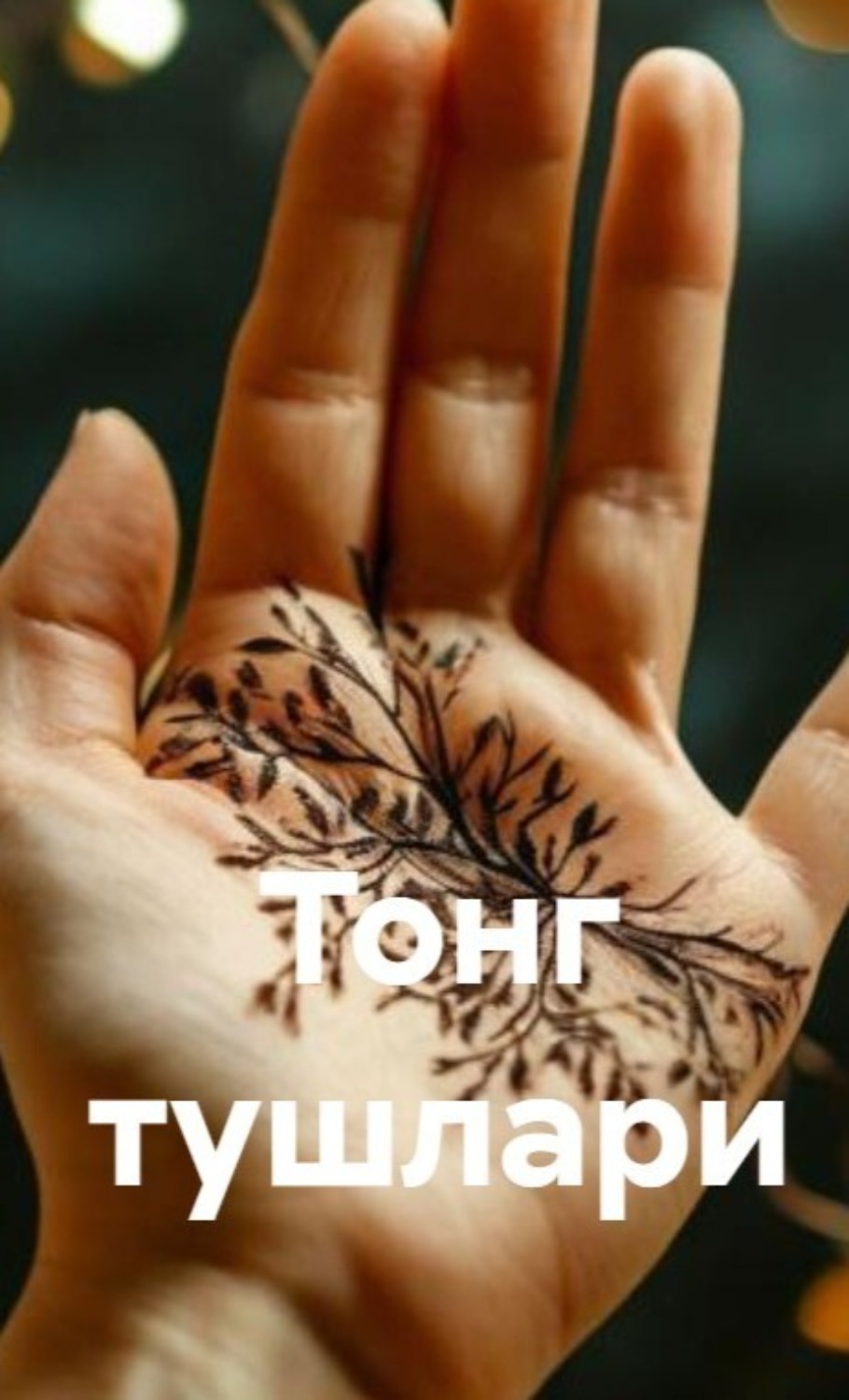 Обложка книги «Тонг тушлари»