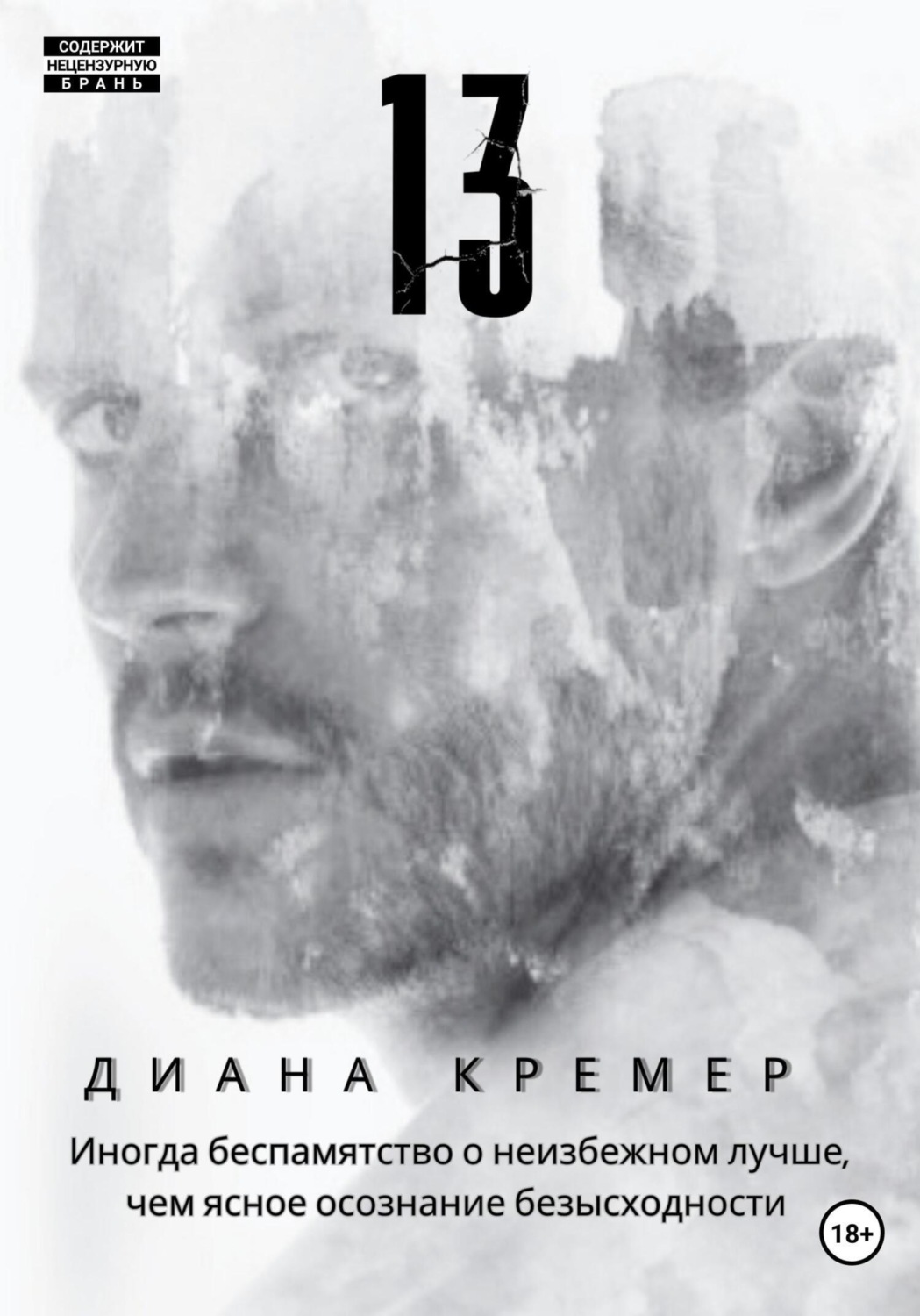 Обложка книги «13»