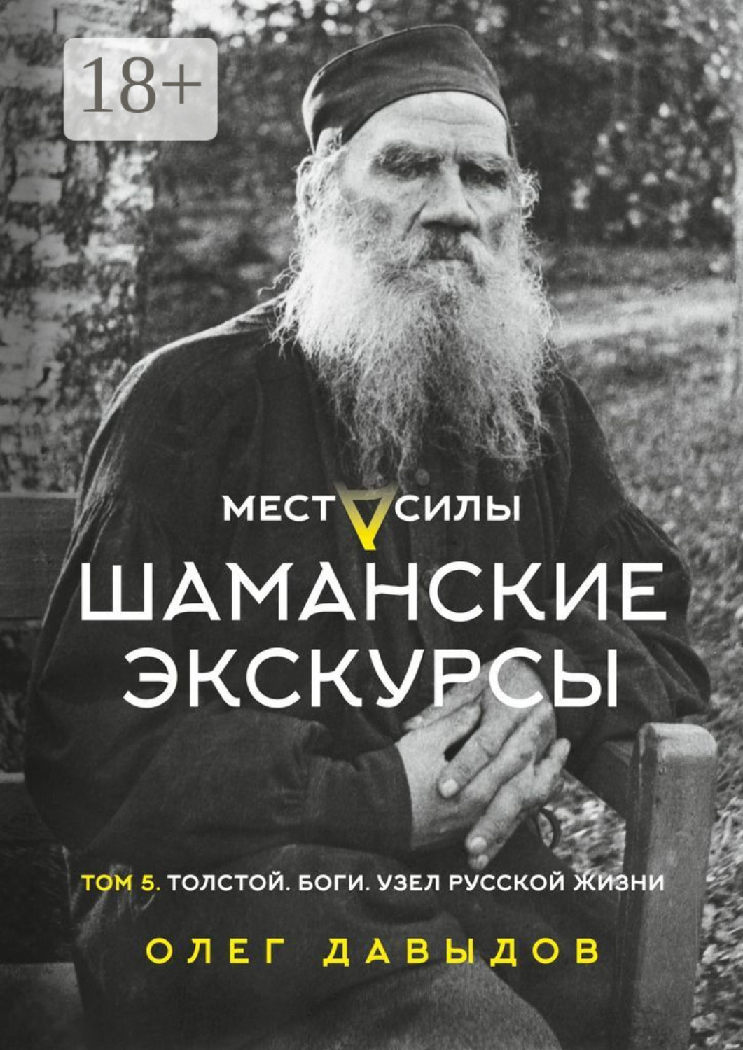 Обложка книги «Места силы. Шаманские экскурсы. Том 5. Толстой. Боги. Узел русской жизни»