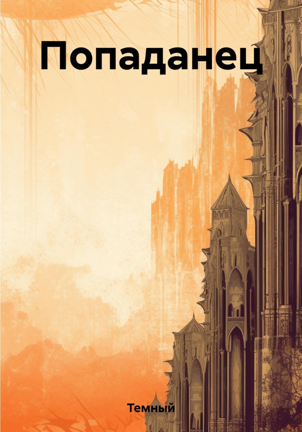 Обложка книги «Попаданец»