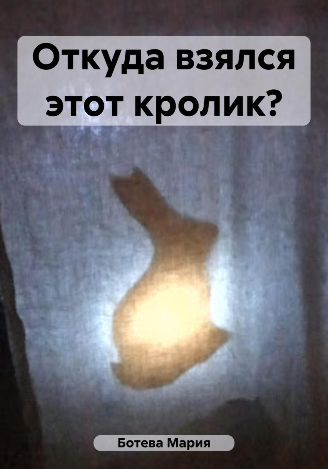 Обложка книги «Откуда взялся этот кролик?»
