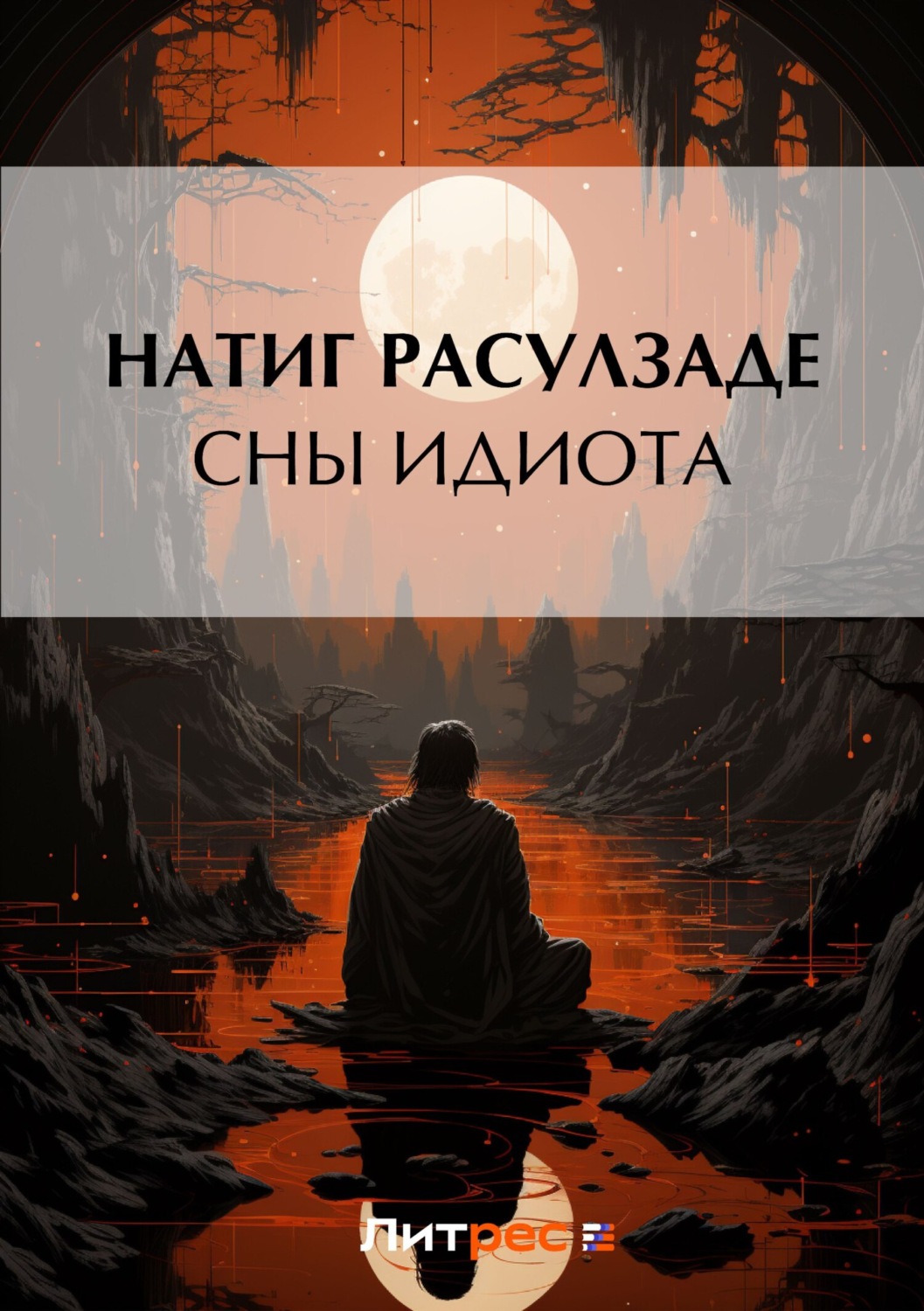 Обложка книги «Сны идиота»