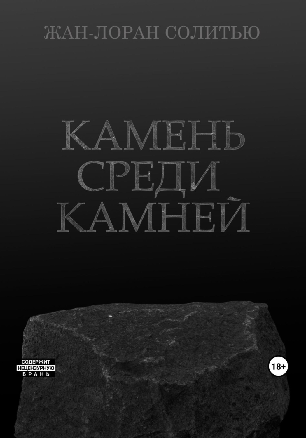 Обложка книги «Камень среди камней»