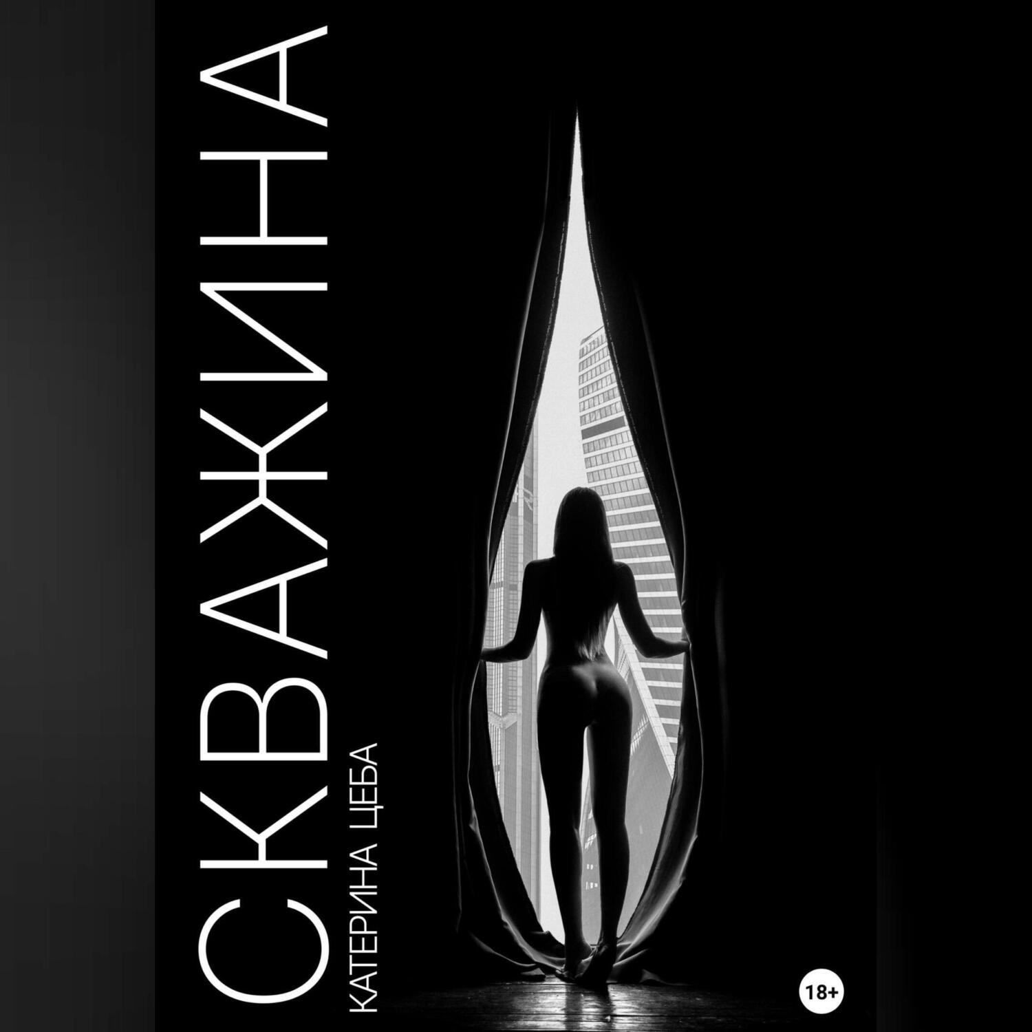 Обложка книги «Скважина»