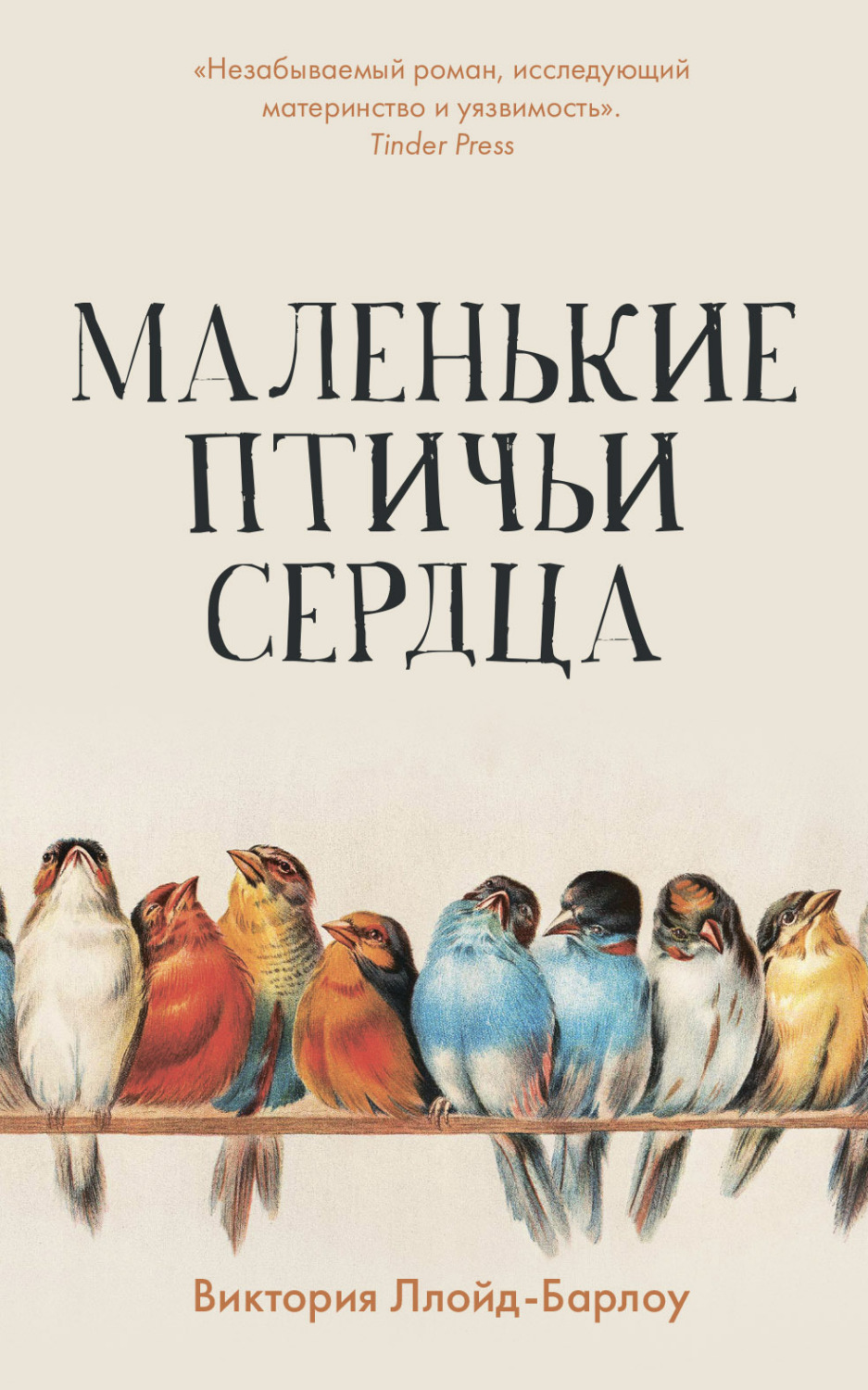 Обложка книги «Маленькие птичьи сердца»