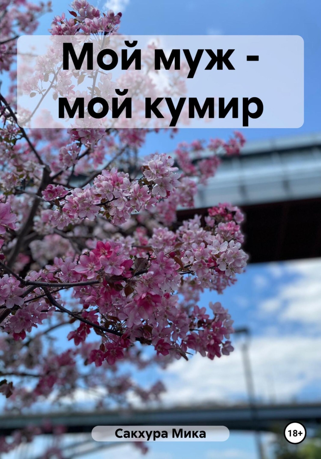 Обложка книги «Мой муж – мой кумир»