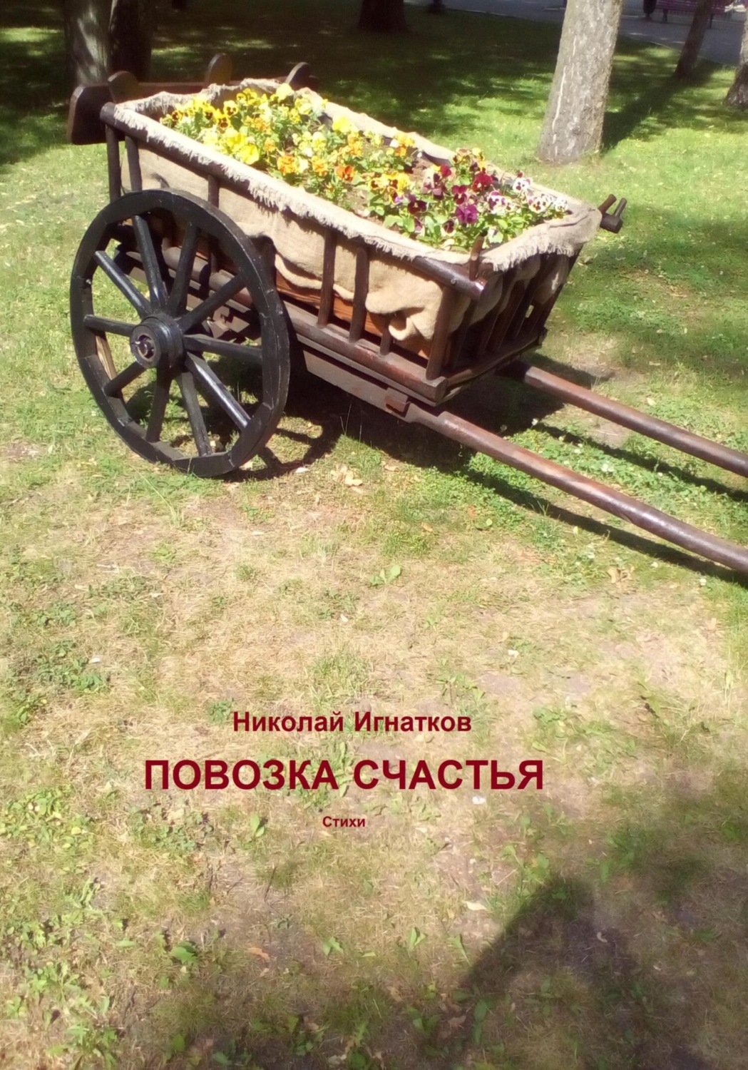 Обложка книги «Повозка счастья»