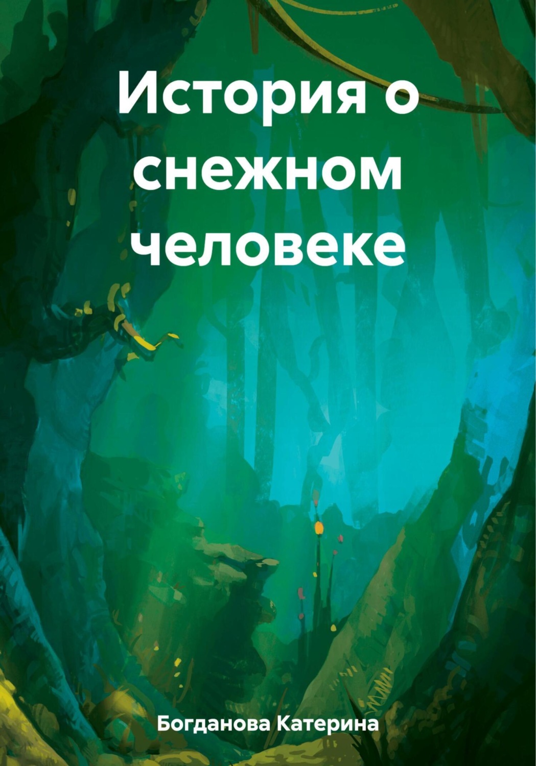 Обложка книги «История о снежном человеке»