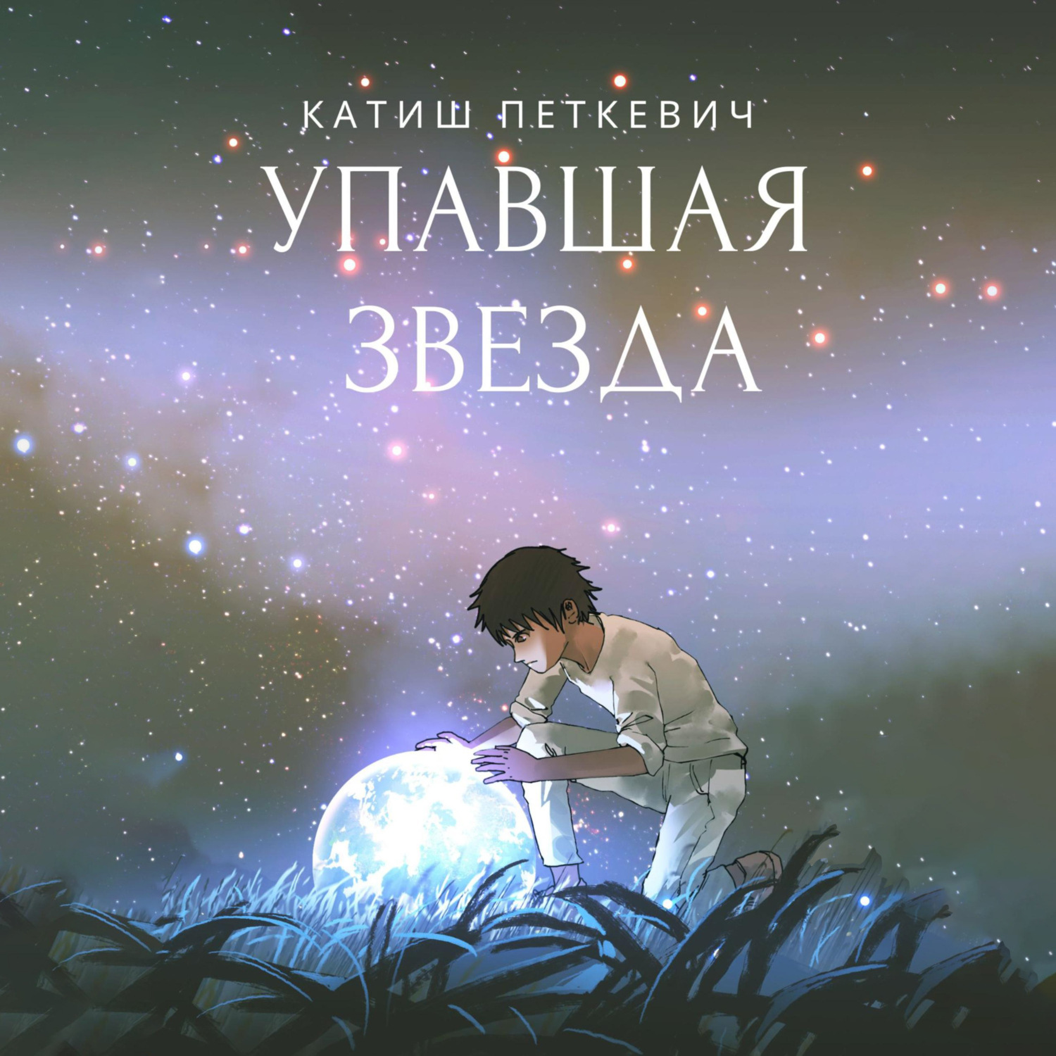 Обложка книги «Упавшая звезда»