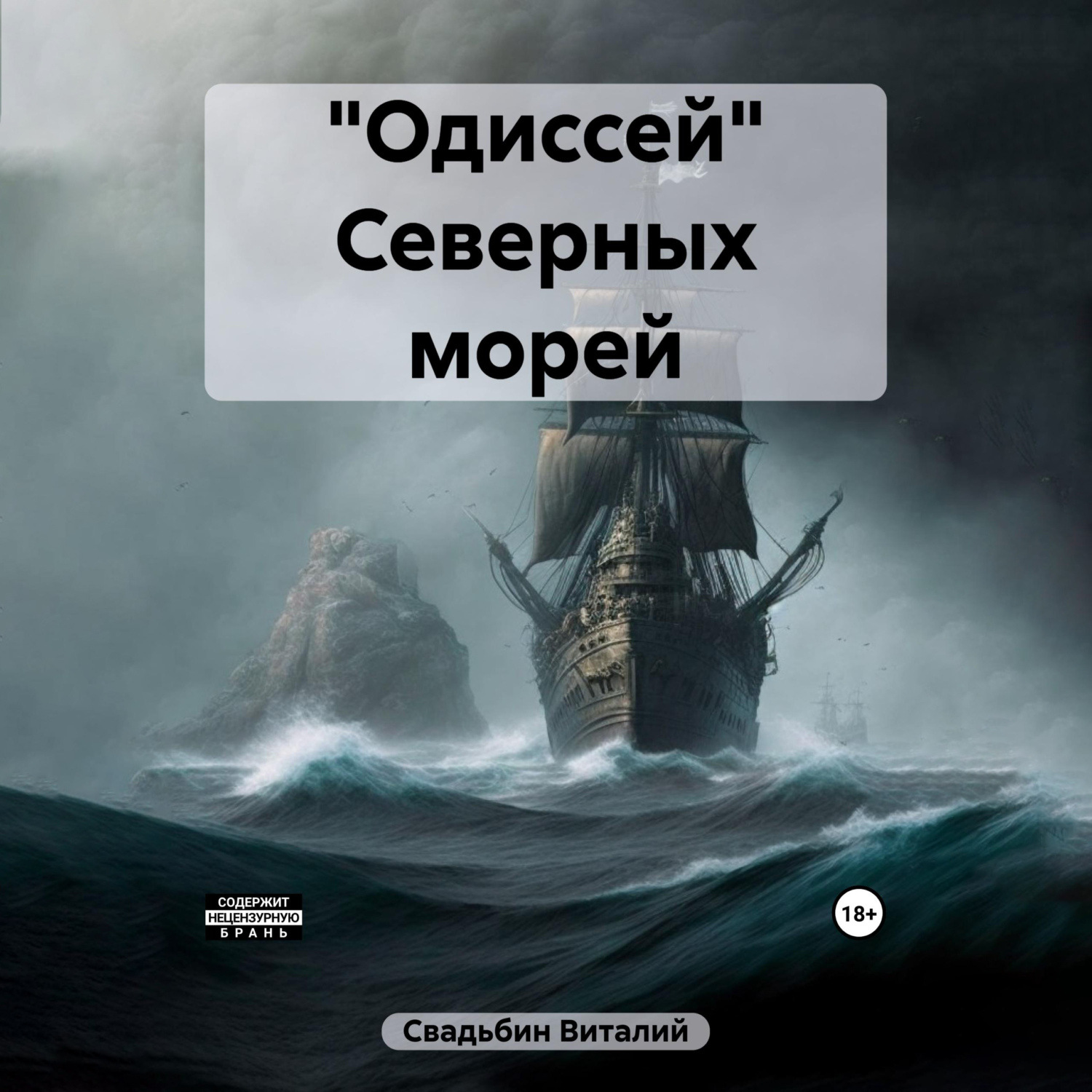 Обложка книги ««Одиссей» Северных морей»