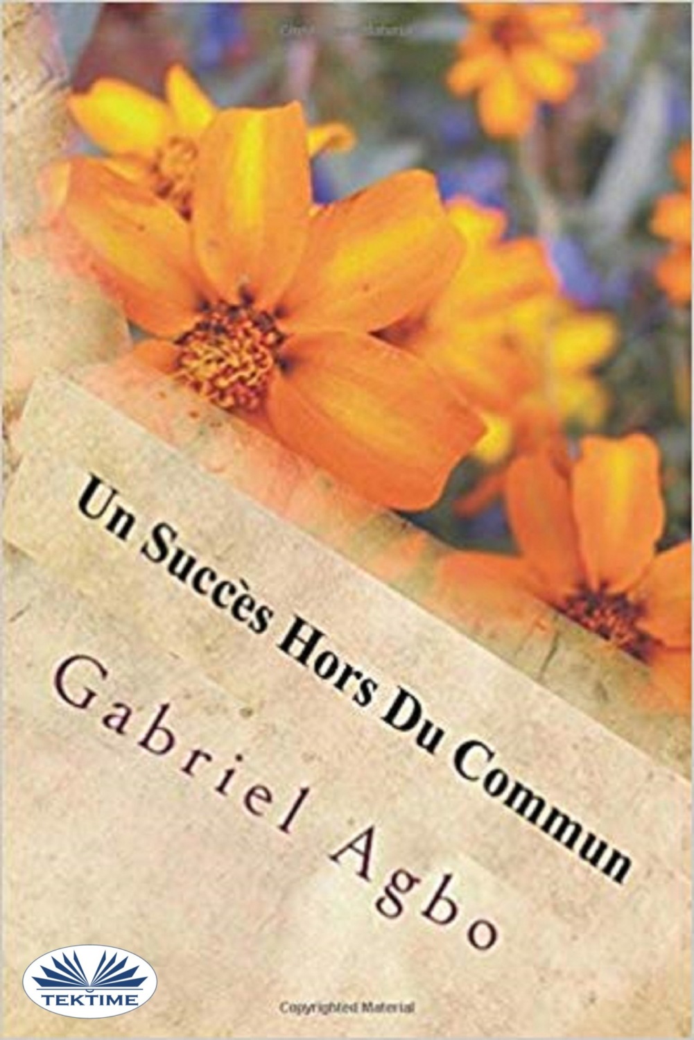 Обложка книги «Un Succès Hors Du Commun»