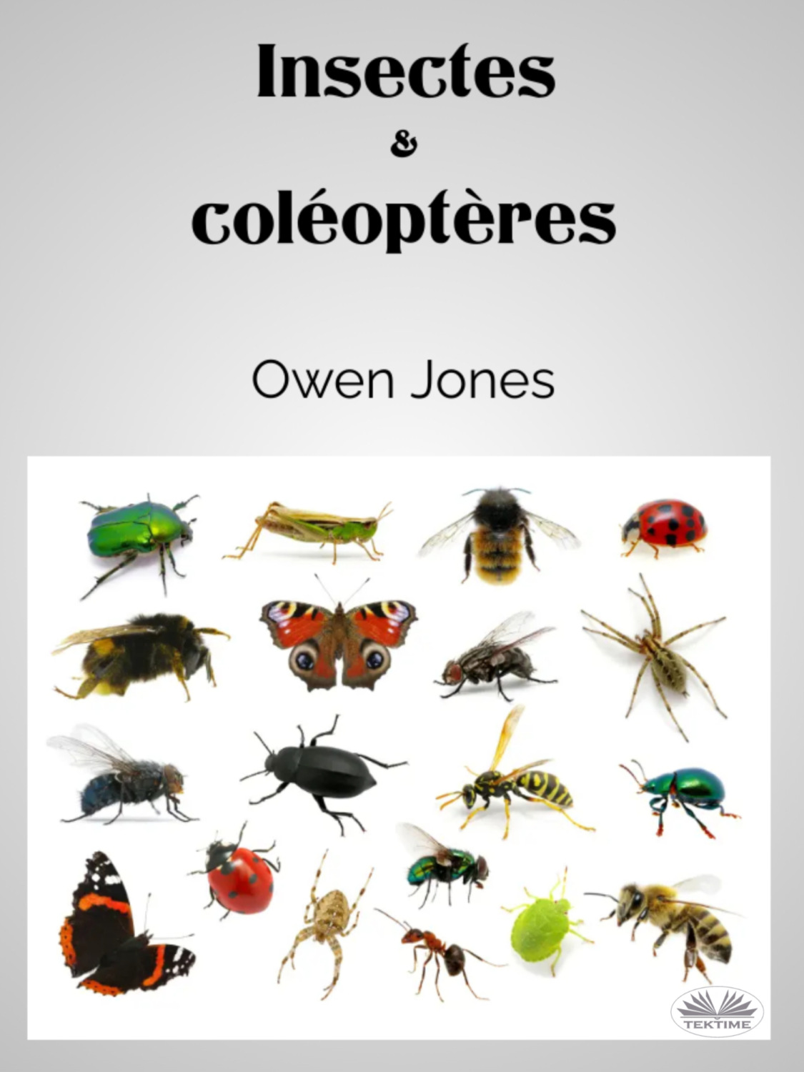 Обложка книги «Insectes Et Coléoptères»